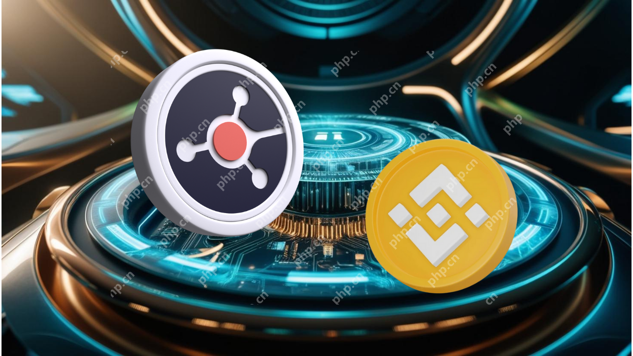 Ruvi（RVN）Presale 2阶段是现场直播的，为投资者提供了高回报的机会